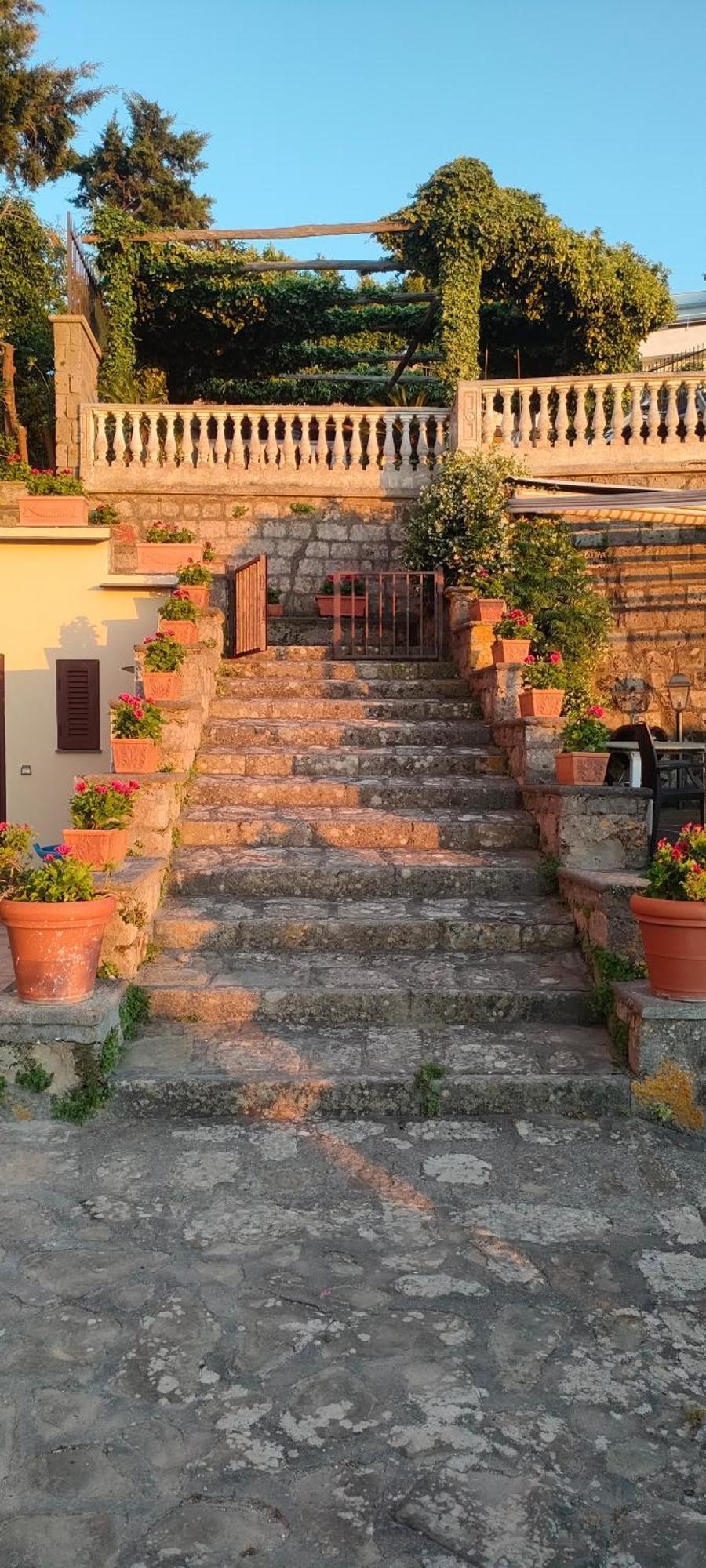 Collywood Villa Piano di Sorrento Exteriör bild