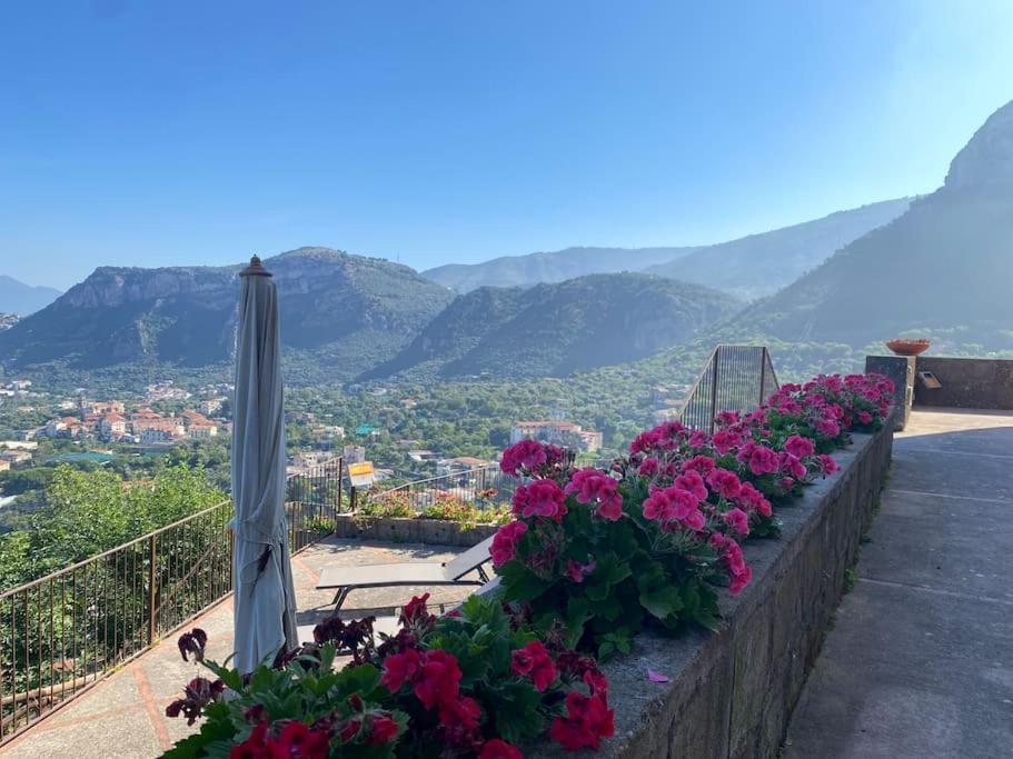 Collywood Villa Piano di Sorrento Exteriör bild